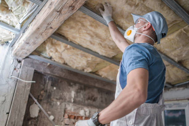 Best Eco-Friendly Insulation in Buffalo, WY